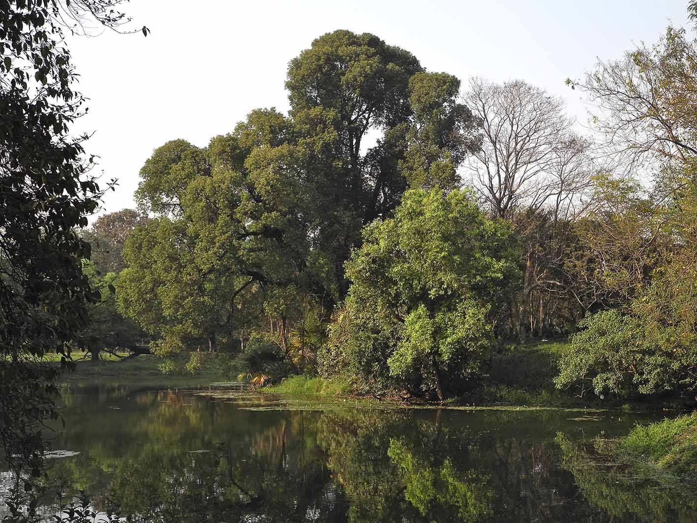 One of the lakes created in the centre of the Royal Botanic Garden, Calcutta, during the 1880s, now known as the Acharya Jagadish Chandra Bose Indian Botanic Garden in Shibpur, Howrah