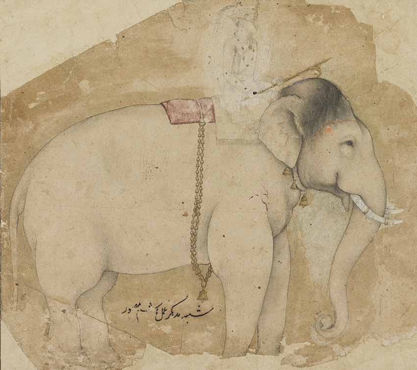 The royal elephant Madhukar, by Hashim, Mughal, probably Agra, circa 1630-1640 © The Fitzwilliam Museum, University of Cambridge