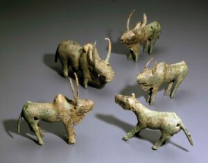 Kaikoko_Oxen